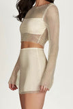 Greatnfb Sequins Mesh Crop Top Mini Skirt Set